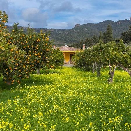 A Charming Country Cottage + Bikes And Kayaks Bosa Eksteriør billede