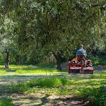 A Charming Country Cottage + Bikes And Kayaks Bosa Eksteriør billede