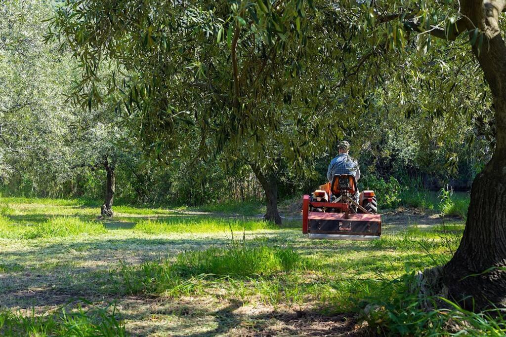 A Charming Country Cottage + Bikes And Kayaks Bosa Eksteriør billede